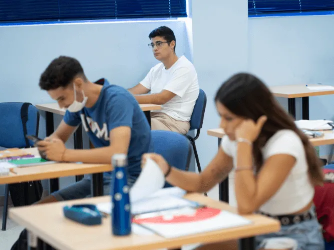 alternativa a bachillerato