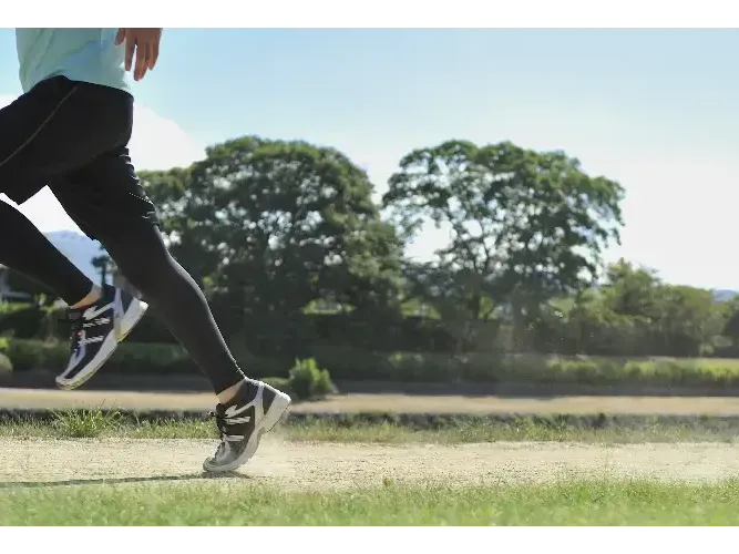 que es inef que es inef